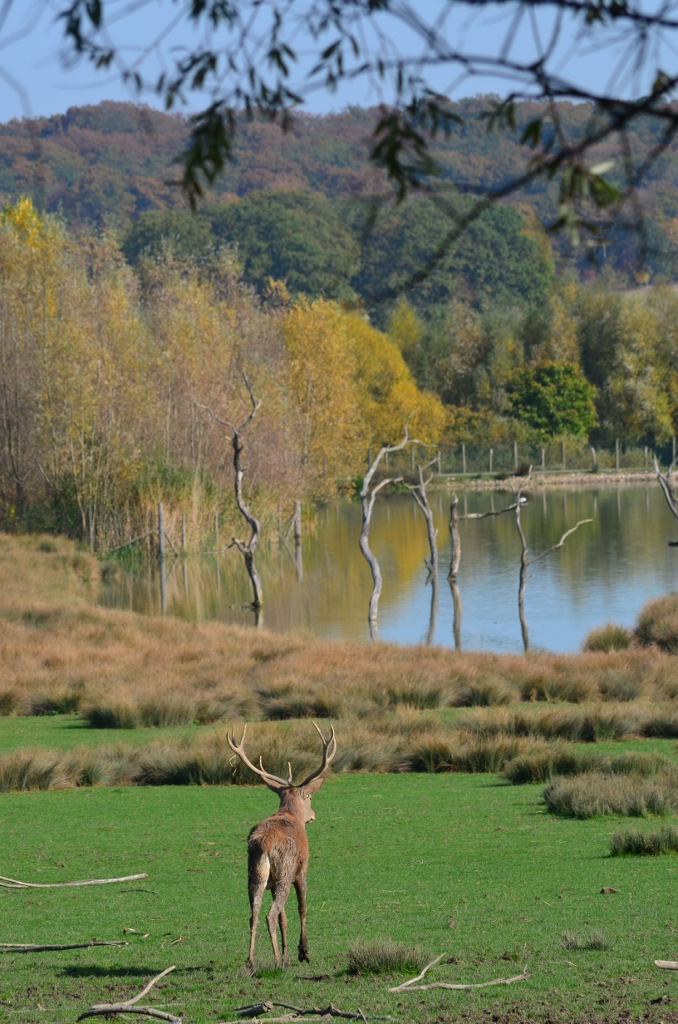 de mai àoctobre 2012 816 (678x1024)